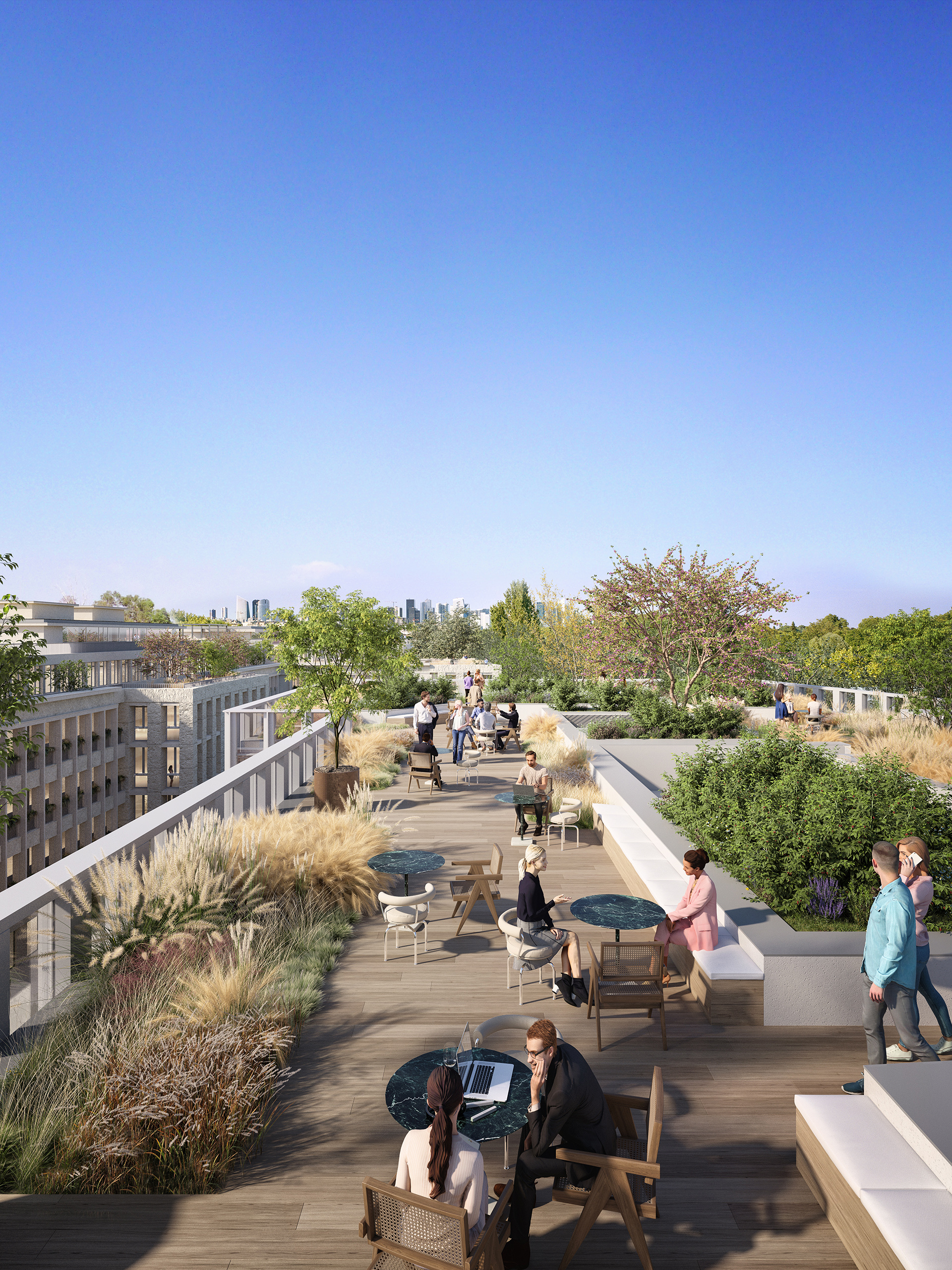 Rooftop du projet Saint-Cloud Campus – terrasse en bois avec graminées éclairées
